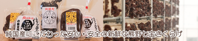くまのきのこラボのメイン写真