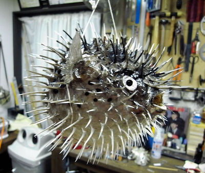 手作りのかわいいハリセンボンふぐ提灯 大の写真