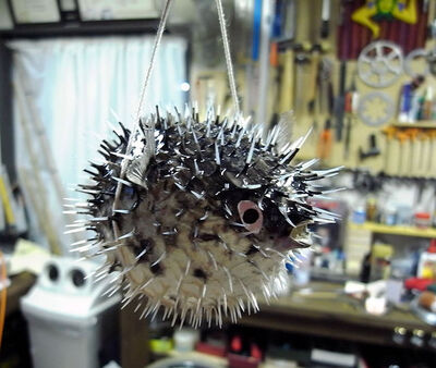 手作りのかわいいハリセンボンふぐ提灯 小の写真