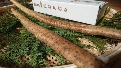 【有機栽培】自然薯(じねんじょ) 専用箱入 約1.2kgの写真