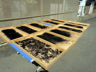 【国産 天然ひじき】乾燥おてがるひじき 18g 小鉢3~4人前の説明写真3