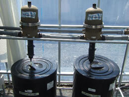 真っ赤なミニトマト1kg(千果)【三重 熊野産】の説明写真2