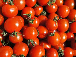 真っ赤なミニトマト1kg(千果)【三重 熊野産】の写真